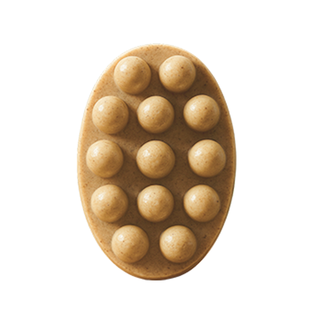 Ayurvedic Shampoo Bar | Clarify. Strengthen. Nourish Naturally.